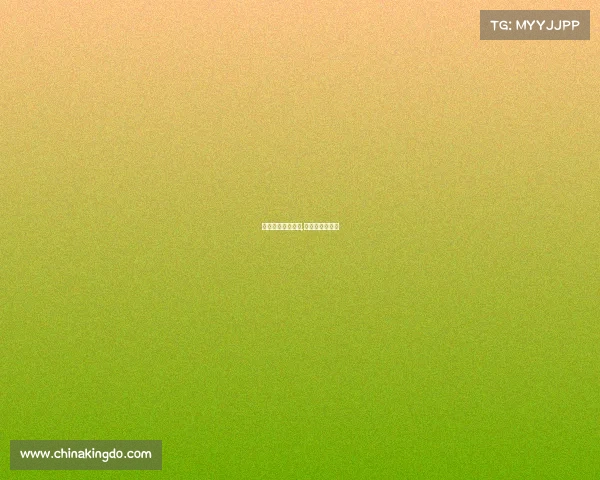 上海公益体育赛事,上海市公益活动